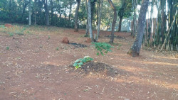 Foto Terreno padrao venda itatiba sp. Ref TE0265